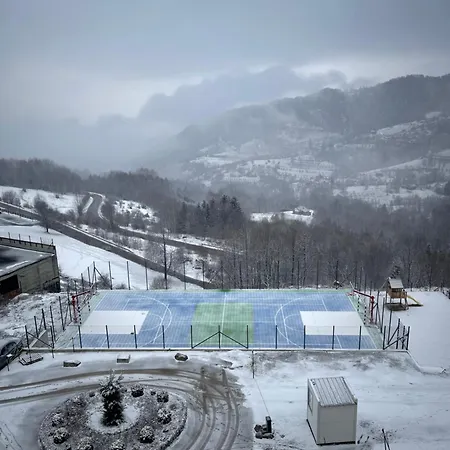 Taunus Κοπαόνικ