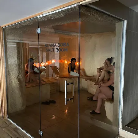 Taunus Κοπαόνικ