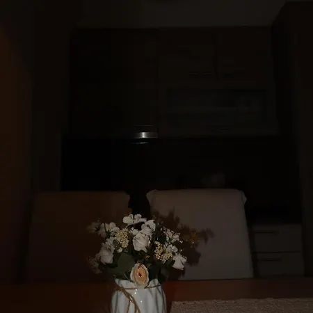 Taunus * Κοπαόνικ