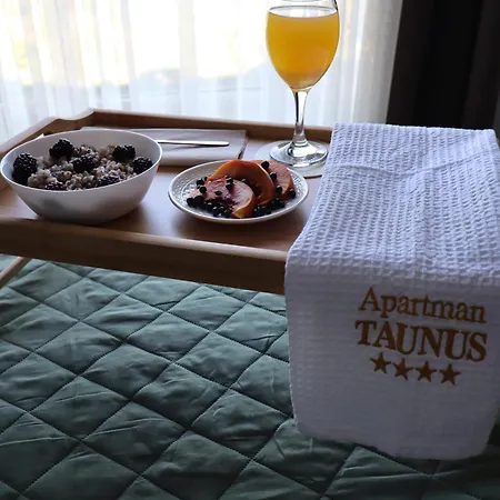 Διαμέρισμα Taunus *