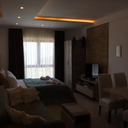 Taunus Διαμέρισμα Κοπαόνικ