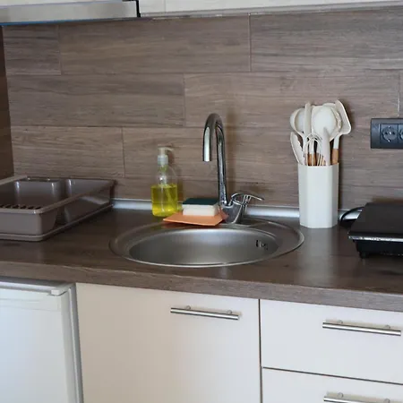 Taunus Κοπαόνικ