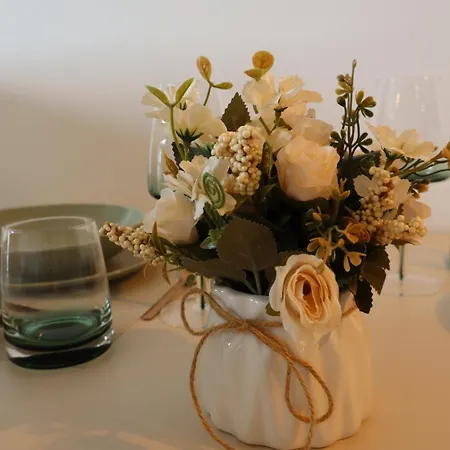 Taunus Κοπαόνικ