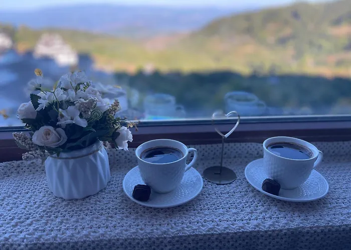 Daire Taunus Kopaonik