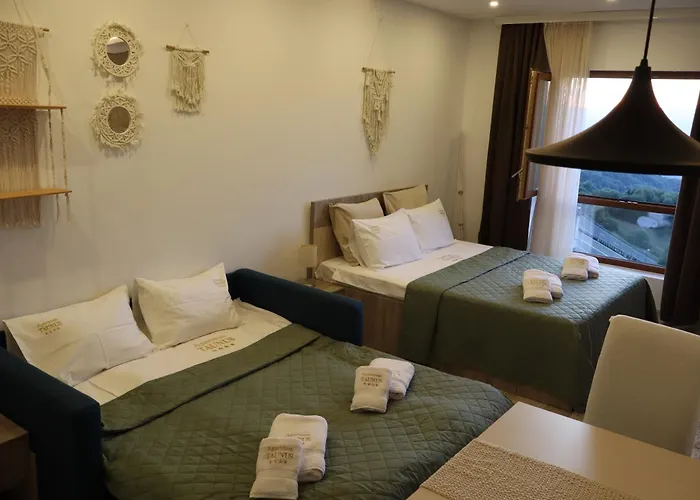 Daire Taunus Kopaonik